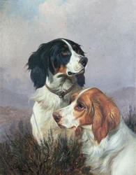 Setter su una brughiera, 1892